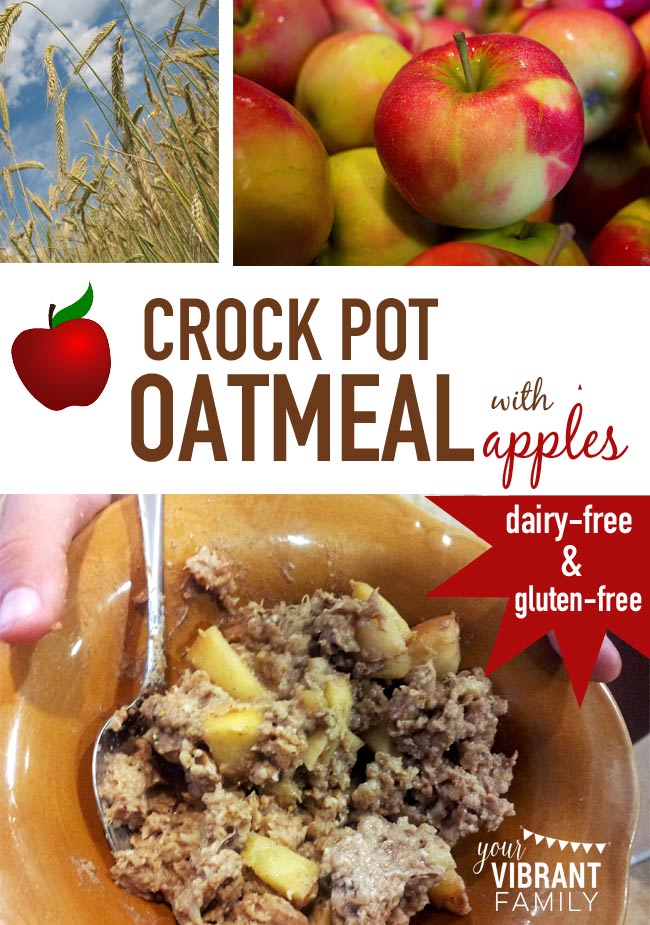 This recipe for Crock Pot Oatmeal with Apples is so awesome that I had all four kids (and hubby) licking the bowl clean. And did I mention super easy since the slow cooker does all the work? Creamy but still a little chewy, just the right combination of spices and sweetness. Plus it's dairy and gluten-free, and no processed sugars (and whatever else you might find in those odd little oatmeal packets).
