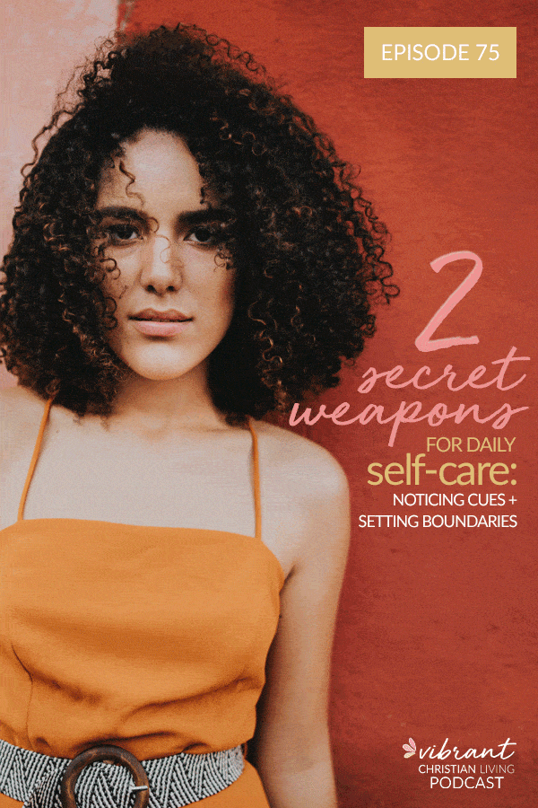 Daily self care | self care tools | setting boundaries | self care boundaries | avoiding burnout | how to avoid burnout | self care toolbox | self care skills | self care for women | how to take care of myself | mom self care tools | Self care 101 | 4 parts of self | four parts of self | 4 parts of self concept | emotional self | spiritual self | intellectual self | what’s going on inside | finding inner healing | inner healing | life balance | finding life balance | self care for women | finding calm | what is my capacity | set boundaries | I am stressed | how can I release stress | releasing stress | managing self